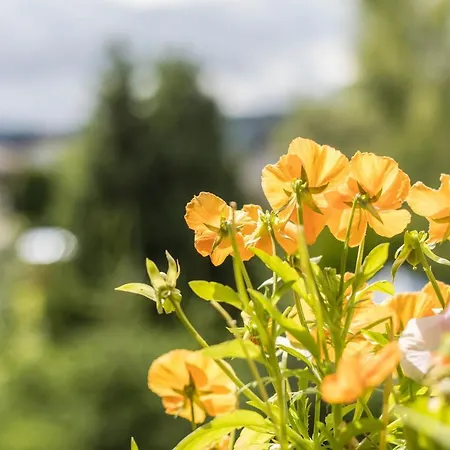 Lägenhet Friedolin Im Baerenhuesli
