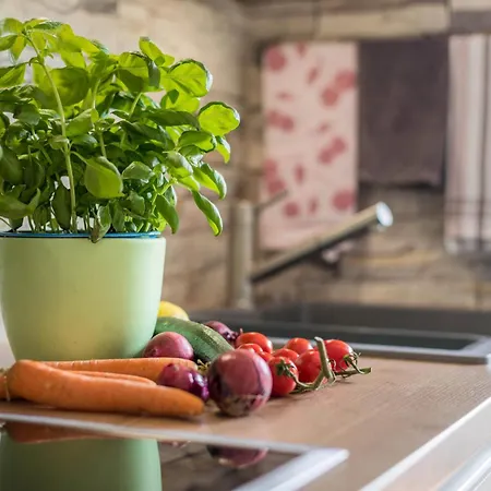 Friedolin Im Baerenhuesli *