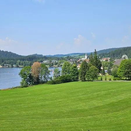 Apartment Friedolin Im Bärenhüsli Titisee-Neustadt