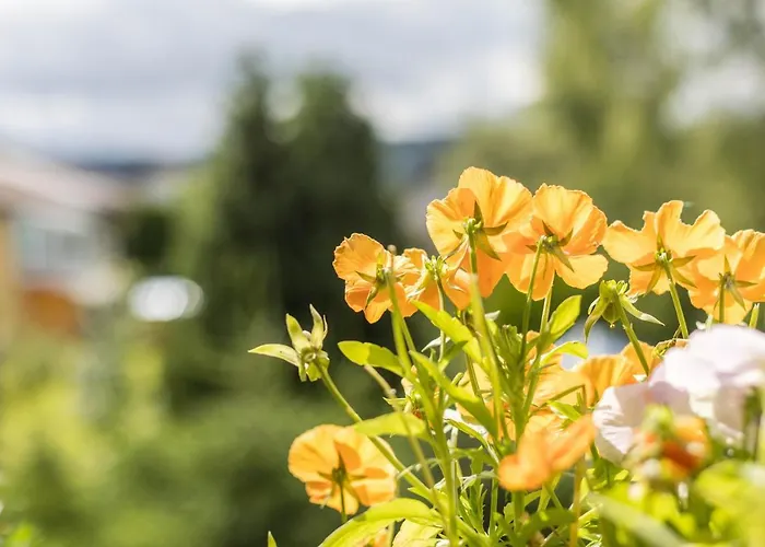 Lejlighed Friedolin Im Baerenhuesli