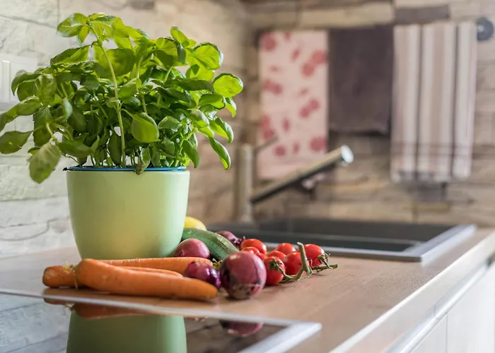 Friedolin Im Baerenhuesli *