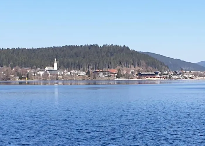 Friedolin Im Baerenhuesli * Titisee-Neustadt